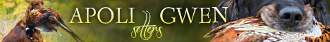 Banner Apoli Gwen - anglický setr, irský setr a gordon setr